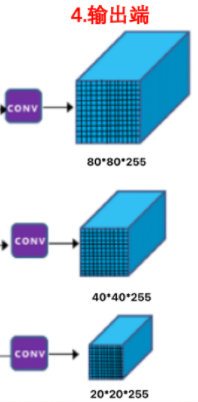 image-20220318140224253