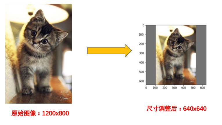 image-20220318104958076