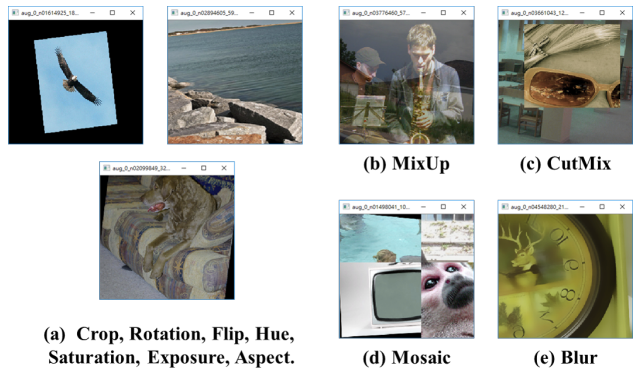 image-20220315104551242