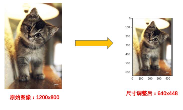 image-20220318110012757